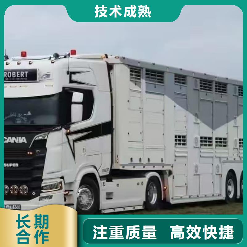 宿遷沭陽到福州牛運(yùn)輸-專用車服務(wù)熱情