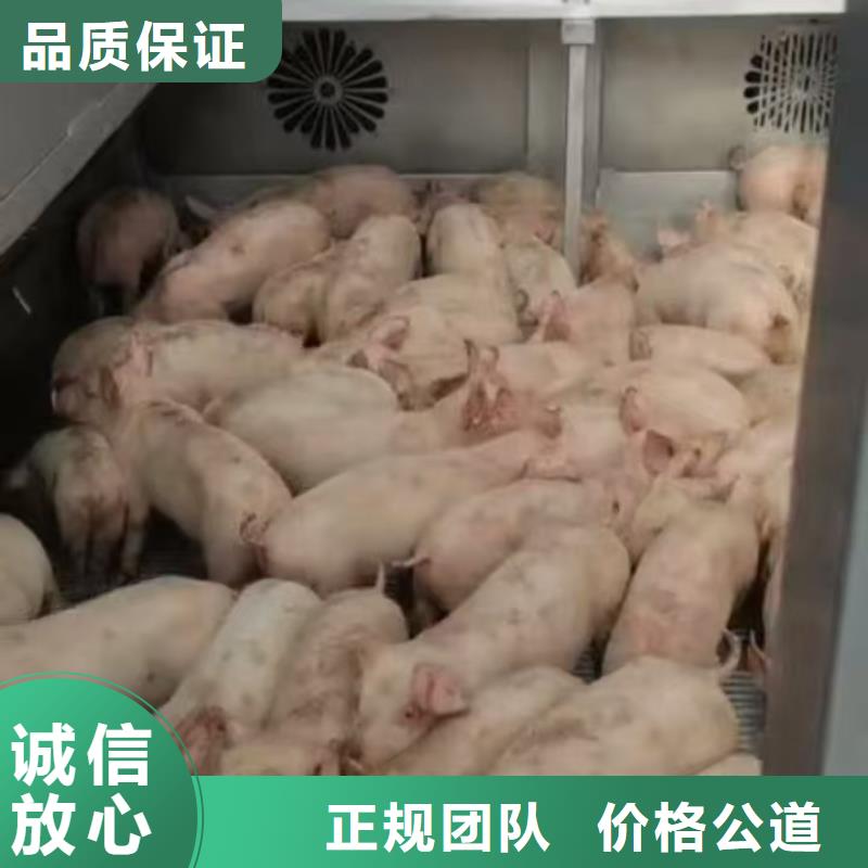 泰州到梅州二育運(yùn)輸-空調(diào)車實(shí)力公司