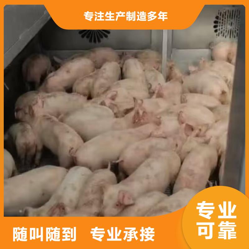 泗陽到蚌埠活禽運輸