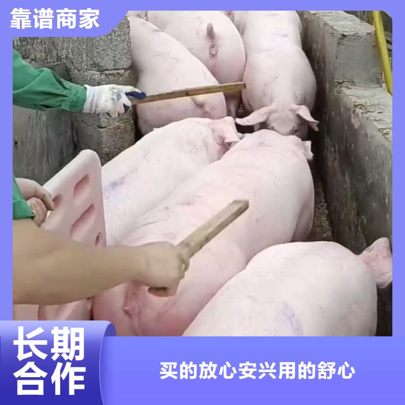 南通到通辽空调车运输-恒温车专业品质