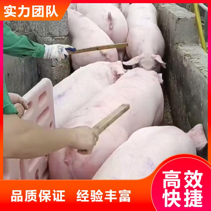 南京到金華恒溫車運(yùn)輸-專用車省錢省時