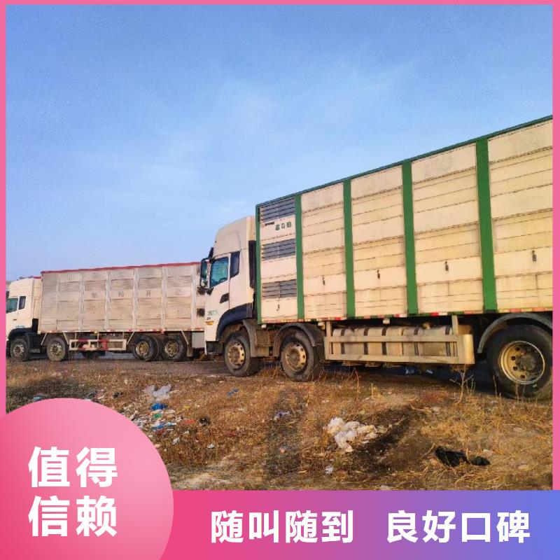 連云港到平頂山活禽運輸-專用車匠心品質