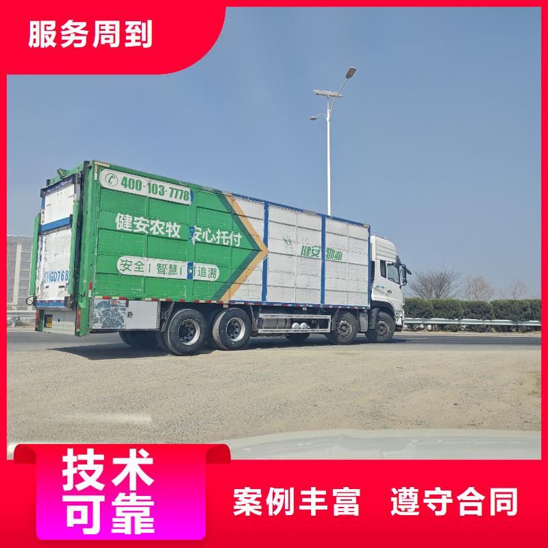 宿遷泗洪到茂名豬籠車運輸技術先進