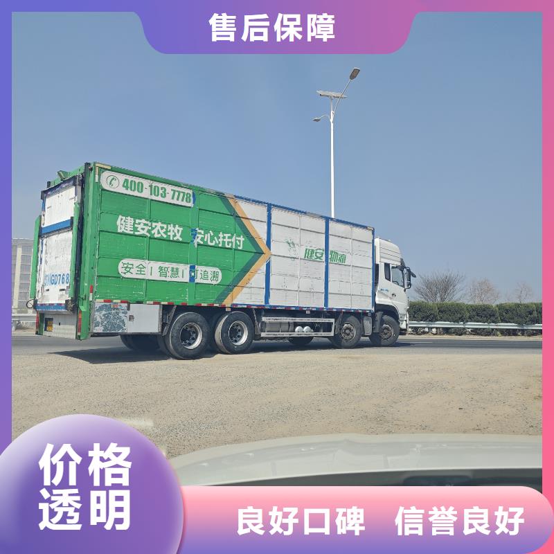 安慶至中山仔豬運輸空調車快捷