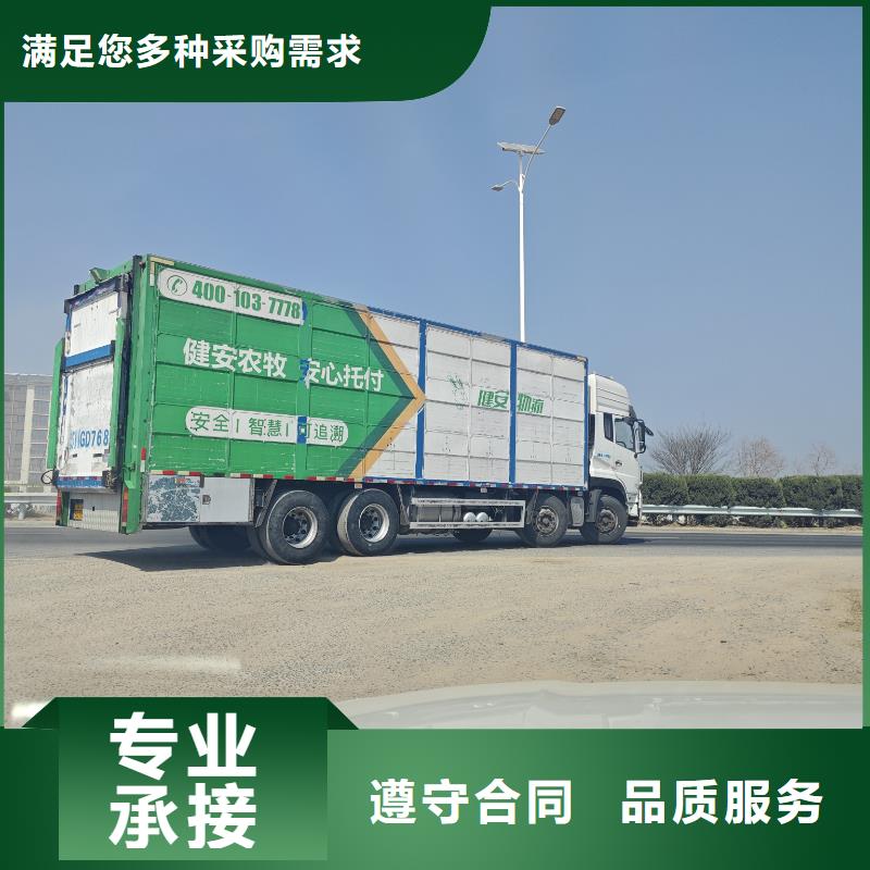 泰州到萊蕪活禽物流-專用車注重質(zhì)量