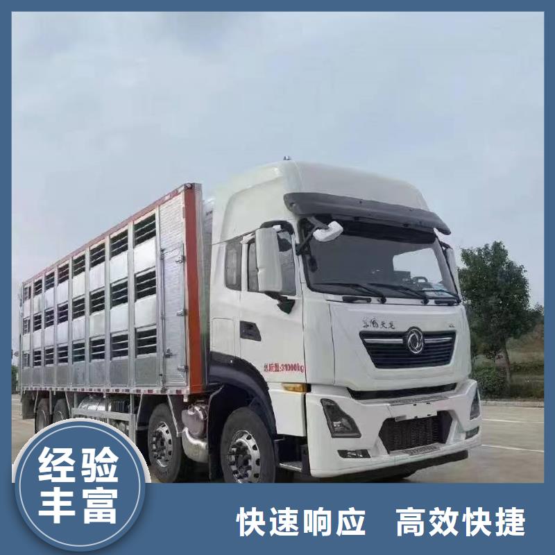 高港到焦作豬牛羊運輸恒溫車優質服務