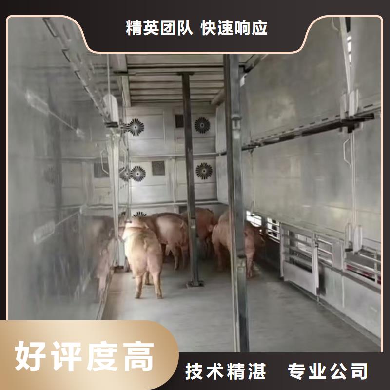 淮安到大慶種仔豬運輸-空調車檢疫合格