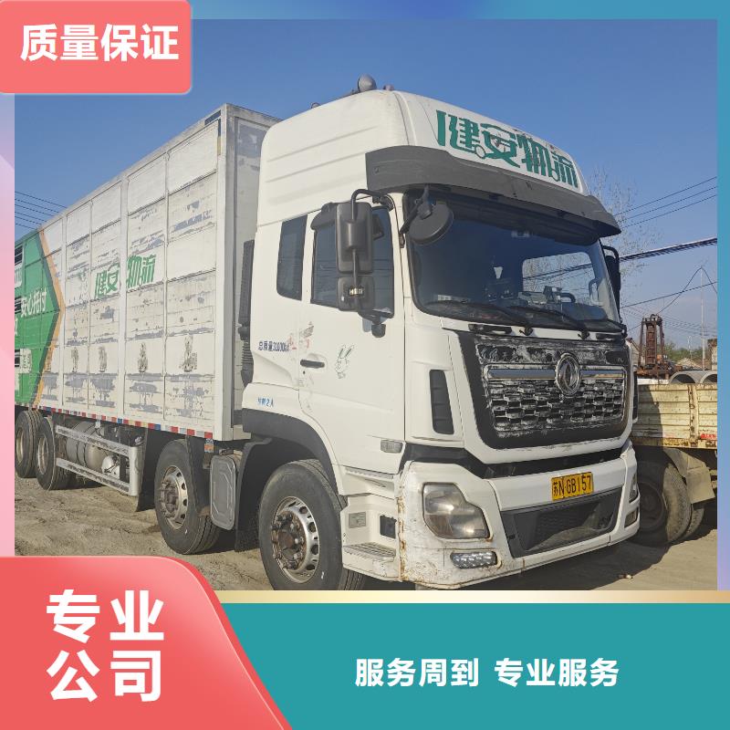 阜寧到河南生豬運輸空調車多年經驗