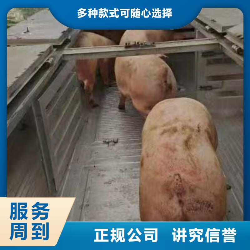 安徽到馬鞍山豬牛羊運輸