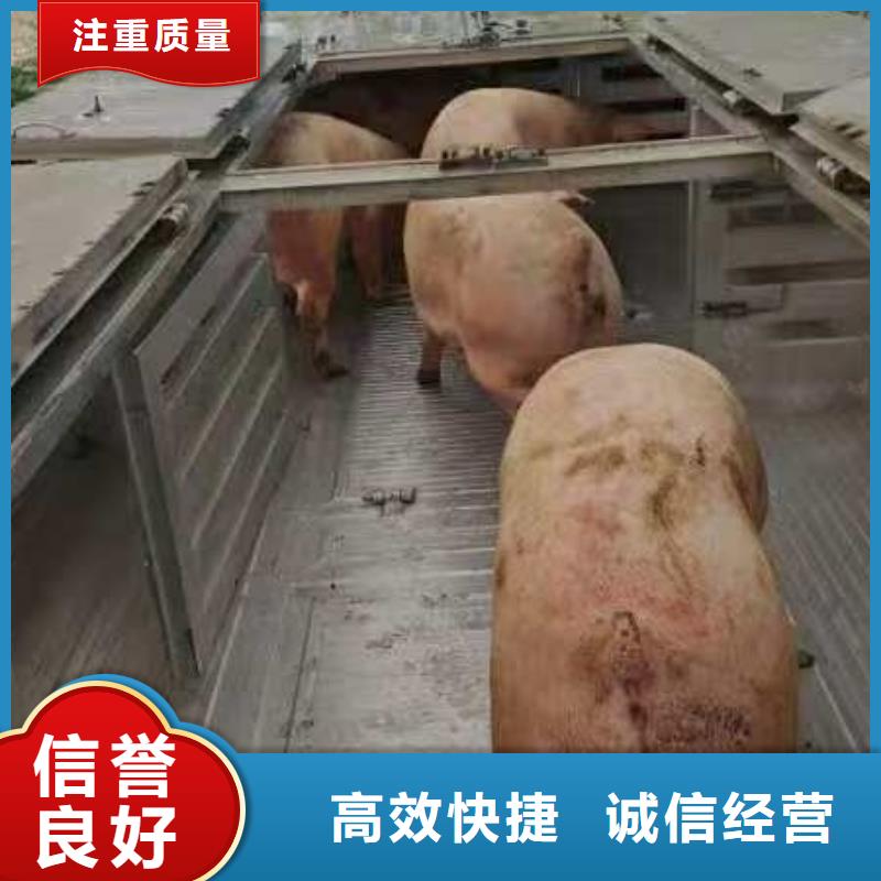 宿遷到蕪湖仔豬運輸