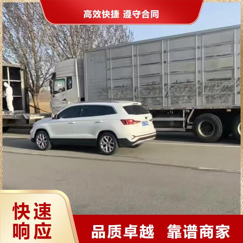 宿遷市沭陽到本溪豬籠車運輸-恒溫車注重質量