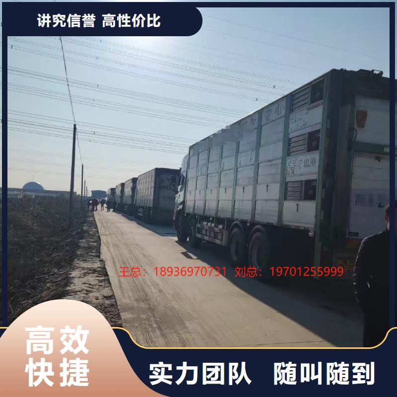 浙江到無錫豬牛羊運輸