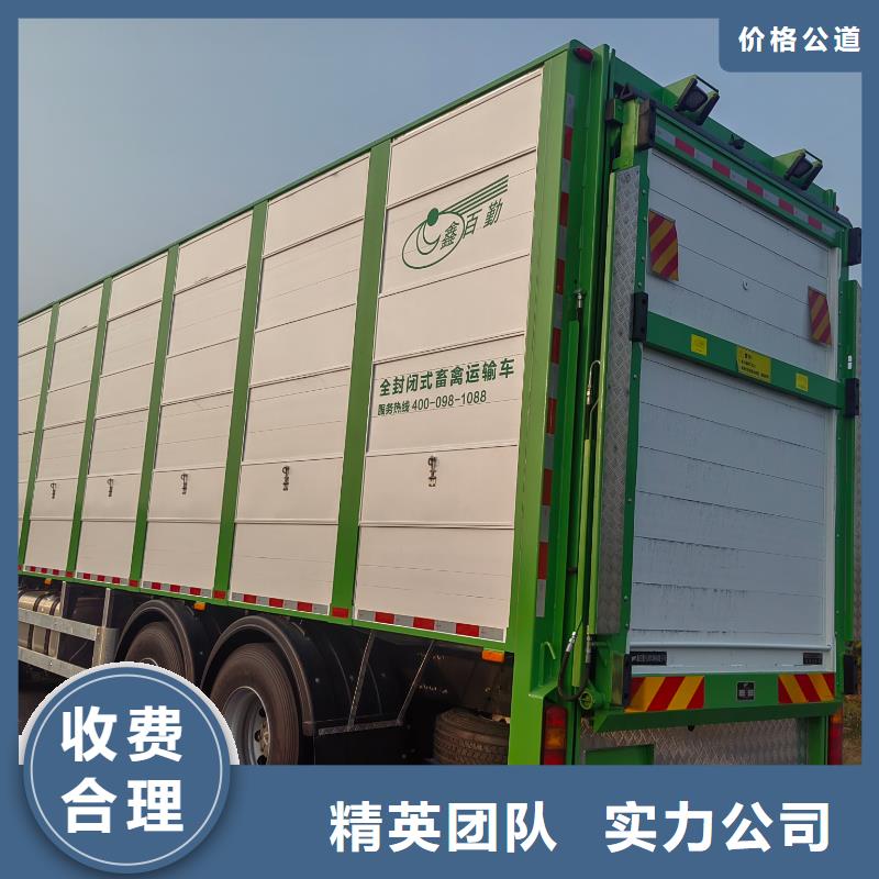 淮安到丹東豬牛羊運(yùn)輸-空調(diào)車(chē)靠譜商家