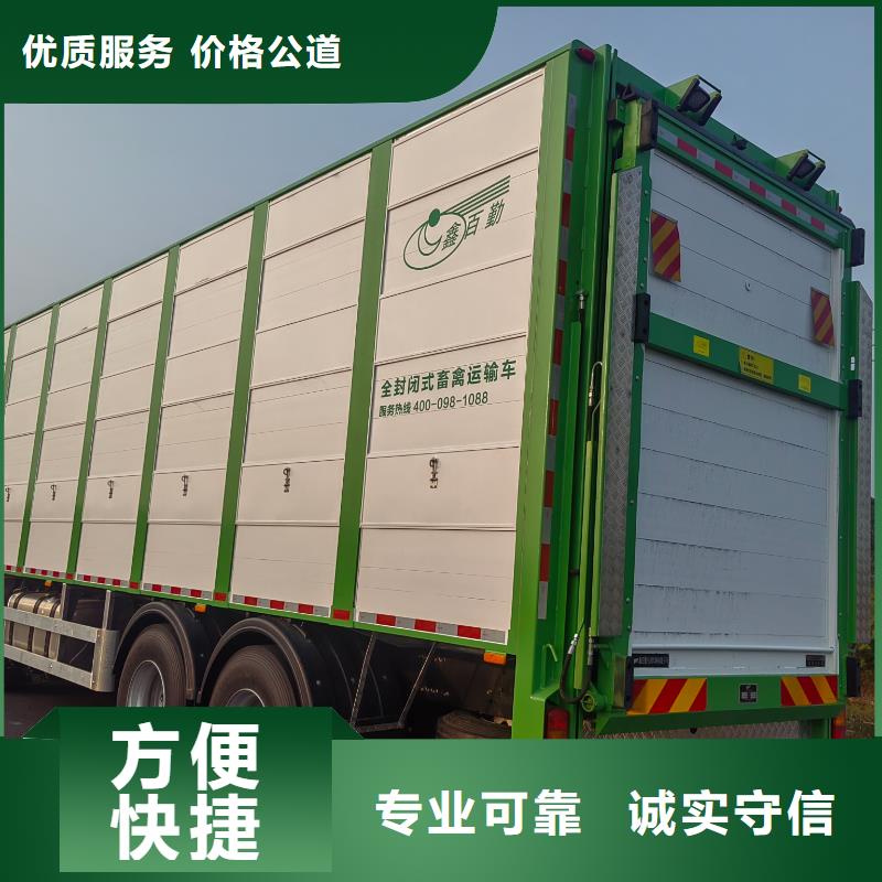 宿遷沭陽到銀川種豬運(yùn)輸-專用車技術(shù)精湛