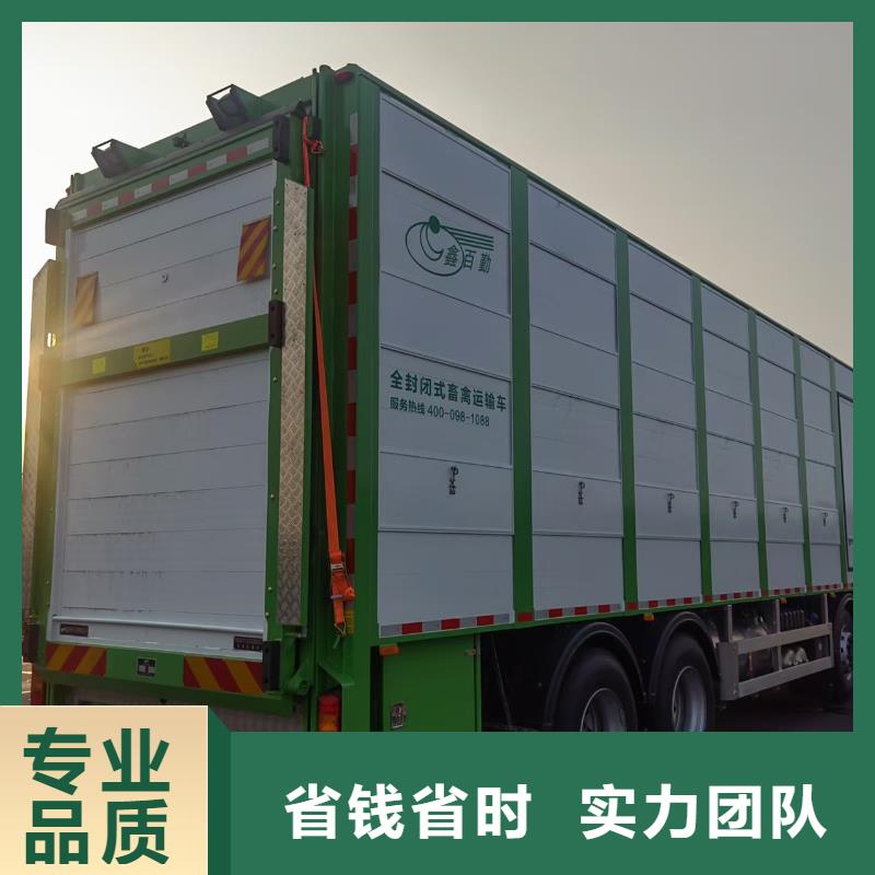 常熟到寧波仔豬運輸空調車口碑公司