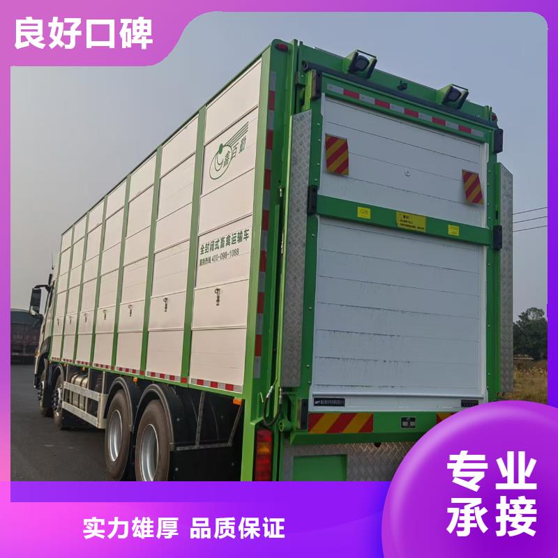 鹽城到洛陽豬運輸-恒溫車全程呵護