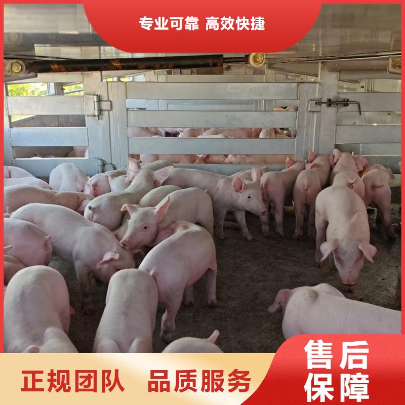 泗陽到金華恒溫車運(yùn)輸