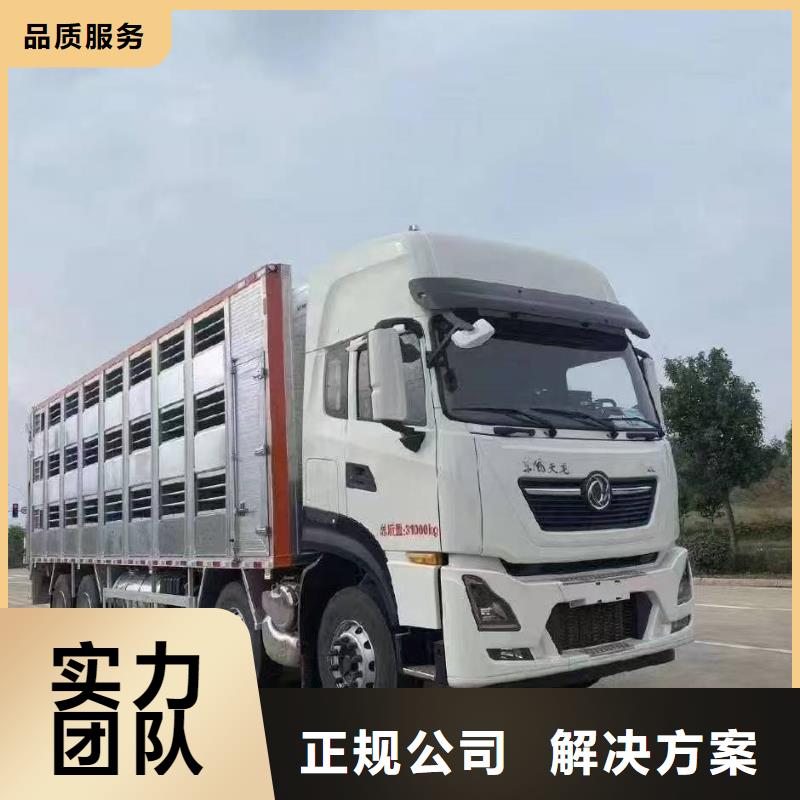 宿遷泗陽到湖州豬只貿易及時送達