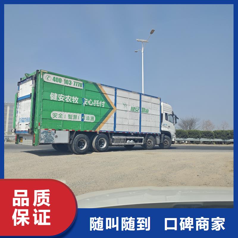 宿遷泗洪到襄陽豬籠車物流及時送達