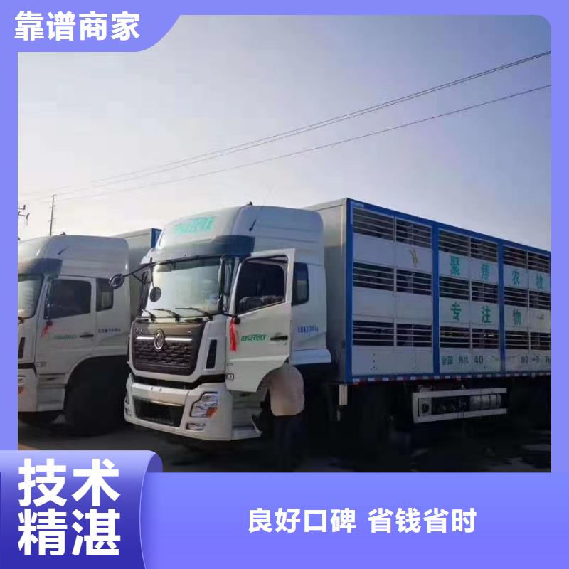 宿遷沭陽到定西農牧物流體系完善
