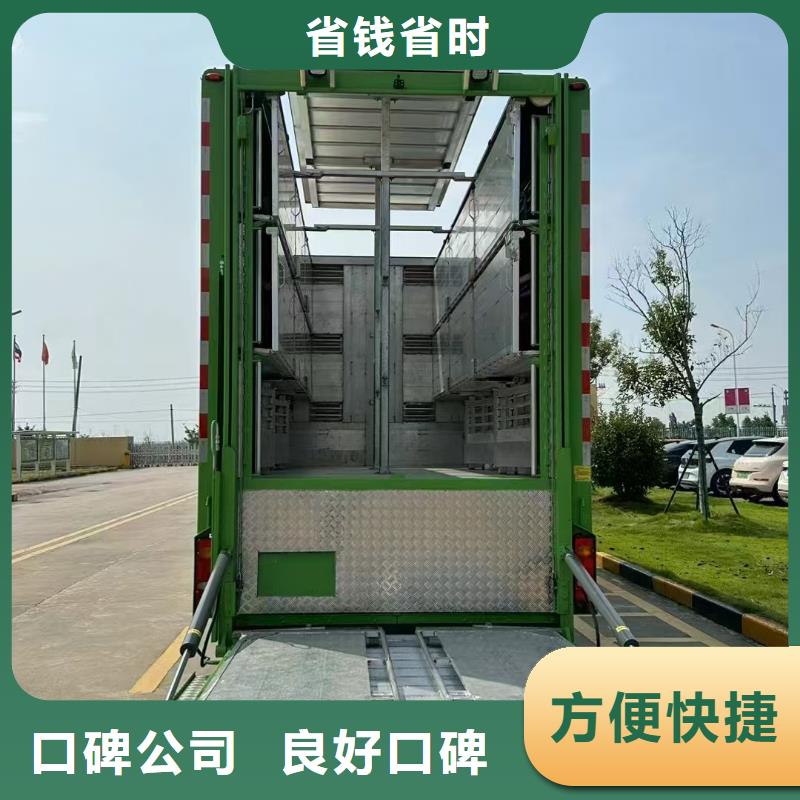 紹興到商丘市虞城縣空調車活禽運輸轎車運輸