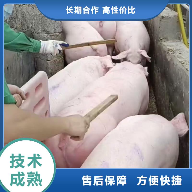 宿遷到湖北牛運輸精準無誤