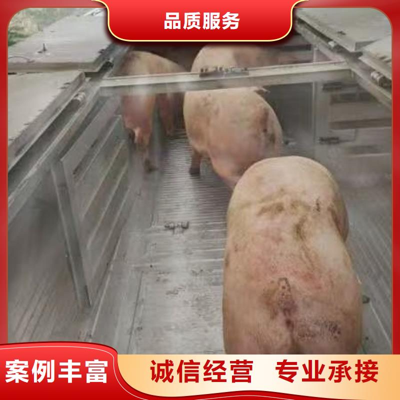 宿遷到唐山種豬空調車運輸透明