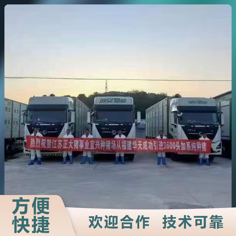宿遷到韶關生豬運輸恒溫車放心省心