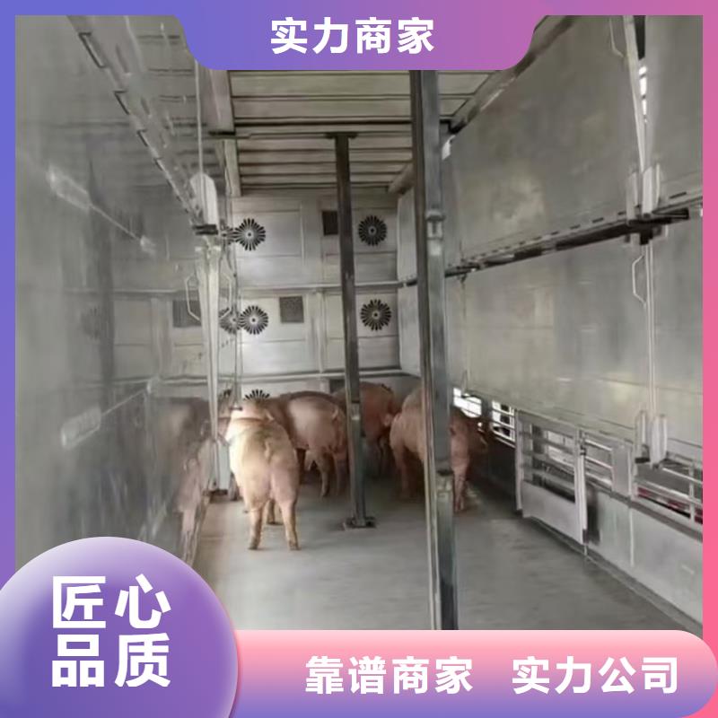 宿遷泗洪到珠海仔豬空調車運輸管理規范