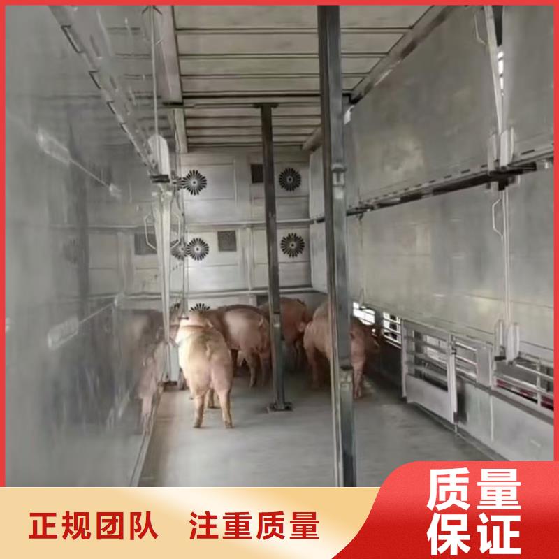 宿遷沭陽到衢州種豬恒溫車運輸無憂