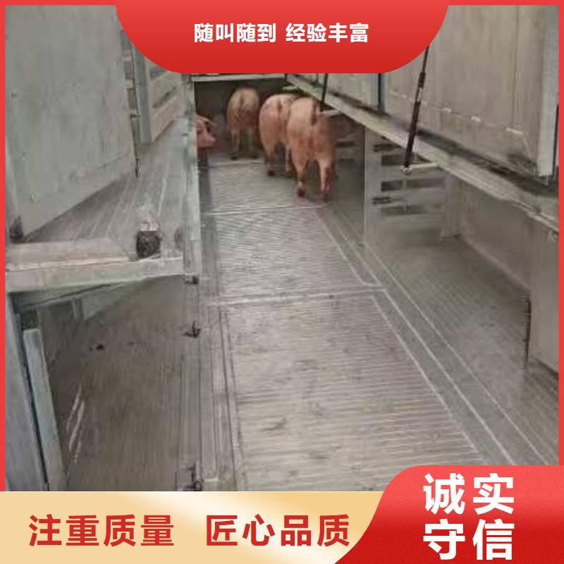 濟(jì)南到六盤(pán)水生豬運(yùn)輸恒溫車優(yōu)質(zhì)服務(wù)