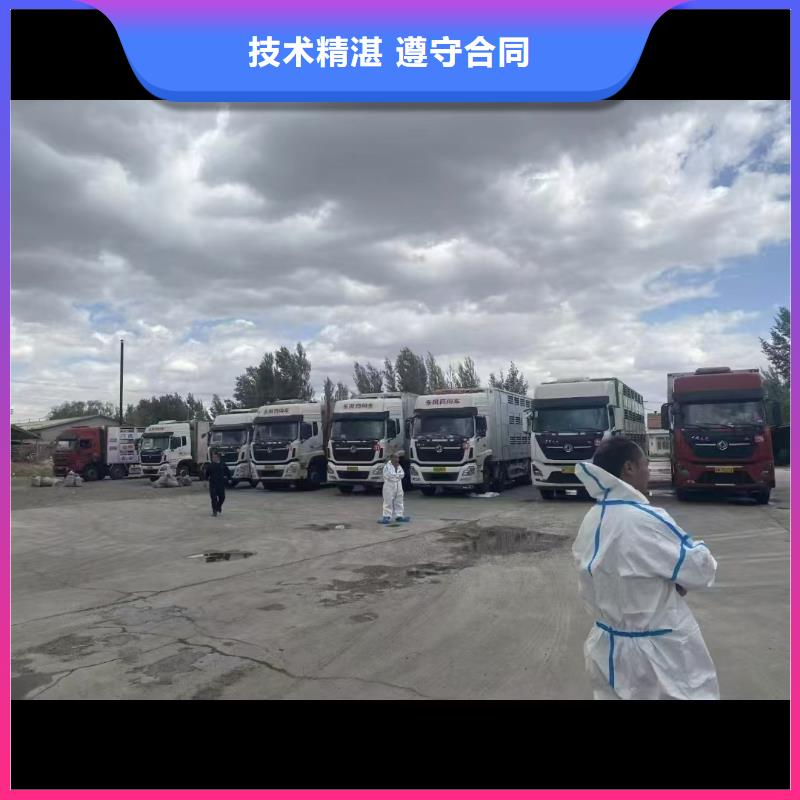 宿遷到黑龍江高欄車肥豬運輸車型豐富