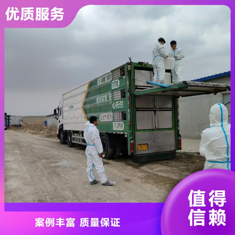 德州到阜新生豬運輸恒溫車經驗豐富