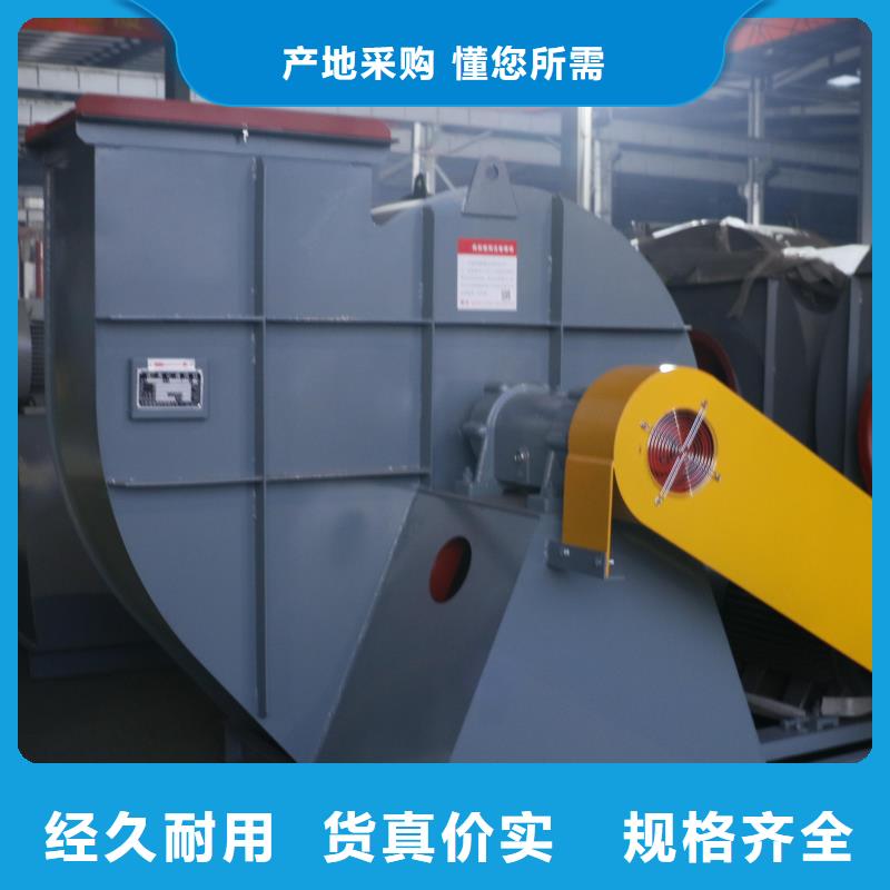 4-681D三葉羅茨鼓風(fēng)機(jī)用心細(xì)節(jié)(今日上榜:2025已更新),硫化床鍋爐風(fēng)機(jī)支持拿樣