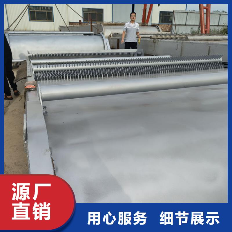 耙斗式清污機直銷精工細作品質優良