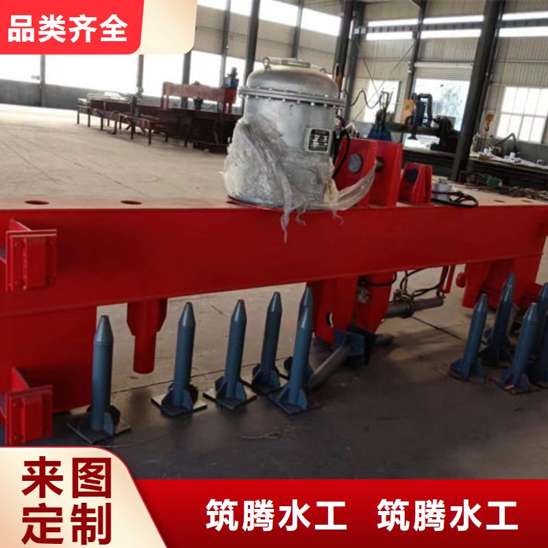 耙斗式清污機直銷同城廠家