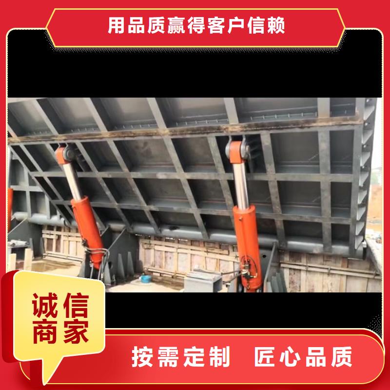 翻板閘門售后無憂品質(zhì)優(yōu)良