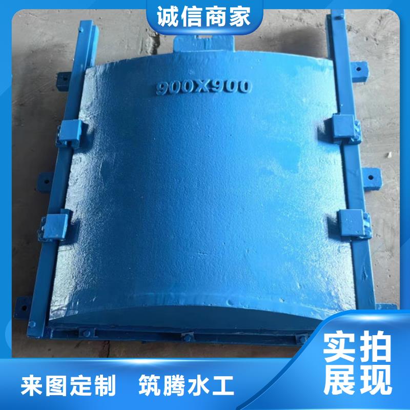 雙向鑲銅鑄鐵閘門型號齊全同城經銷商