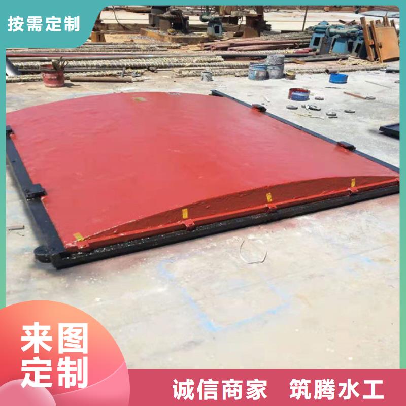 機(jī)閘一體式閘門廠家直營(yíng)廠家直銷省心省錢