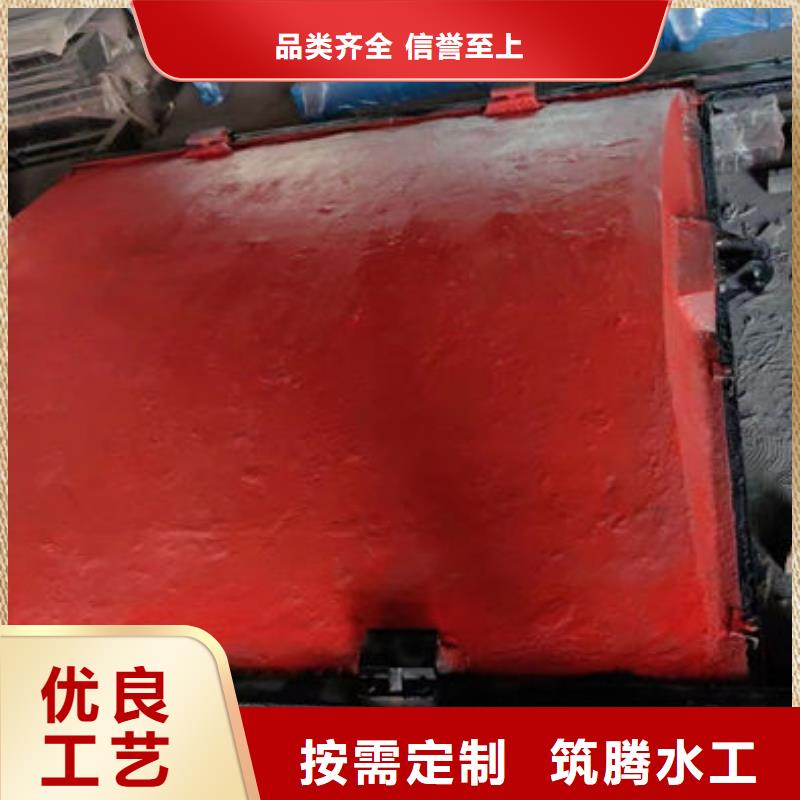 平面鑄鐵閘門真誠合作當地制造商