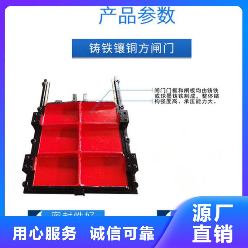 沖砂閘鑄鐵閘門工廠直供型號全價格低