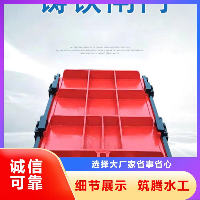 鑄鐵鑲銅閘門源頭廠家當地供應商