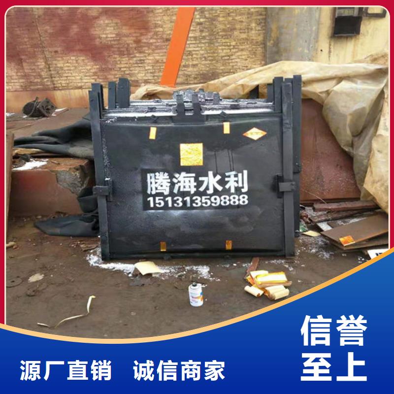 機門一體閘門廠家直銷本地公司