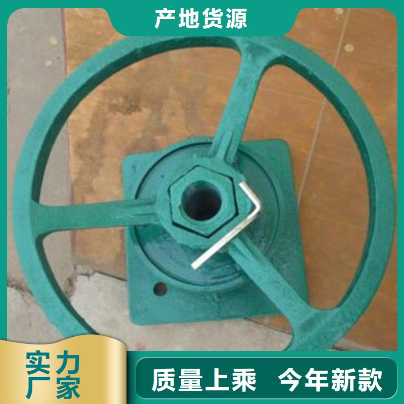 启闭机_景观钢坝闸门拒绝中间商实力公司