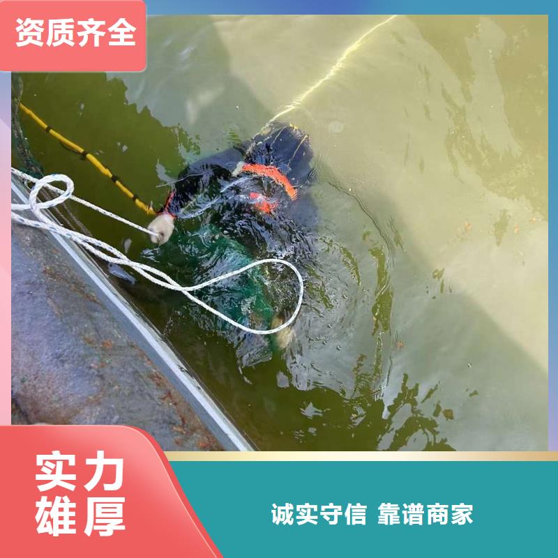 水下封堵：水下录像市政水域合作单位[当地]制造商