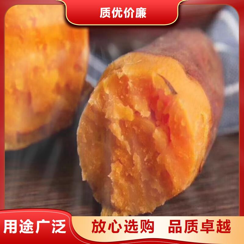 紫薯苗胡蘿卜粉支持定制加工價格實惠
