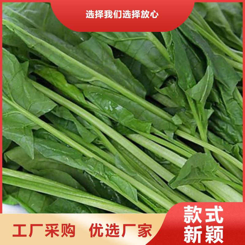 菠菜熟粉采購價格當地供應商