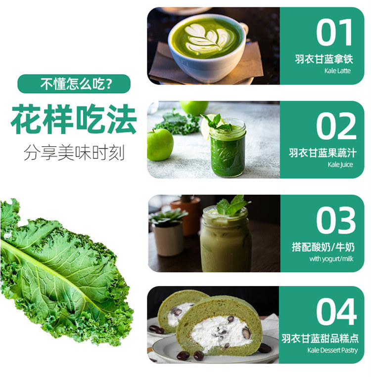 專(zhuān)業(yè)銷(xiāo)售羽衣甘藍(lán)-好評(píng)本地貨源