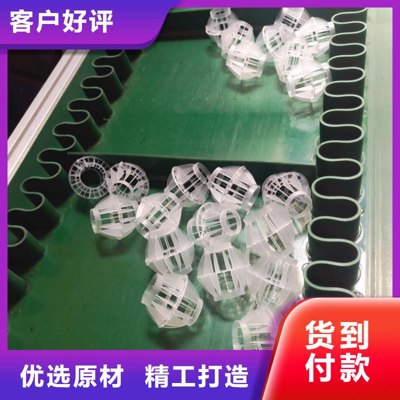 多面空心球蜂窩活性炭一致好評產品本地供應商