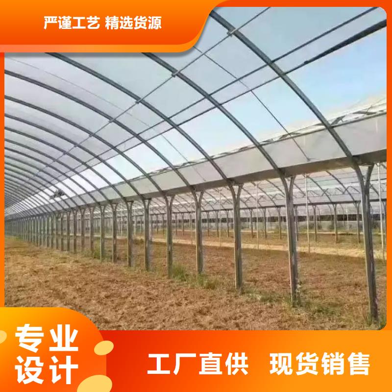 连栋【大棚管】种植基地省心又省钱